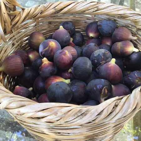 Ferienhaus Pervolaris 2 Goudhi