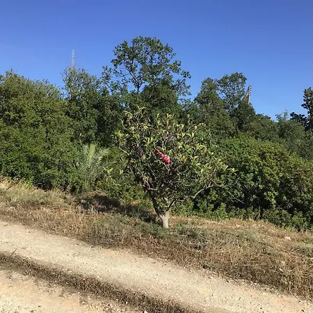 Ferienhaus Pervolaris 2