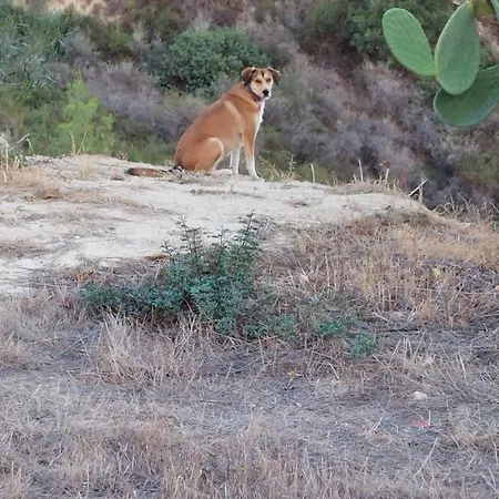 Pervolaris 2 Ferienhaus *