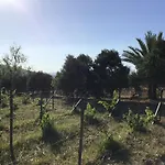 Pervolaris 2 * Goudhi