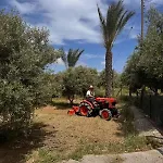 Tatil Evi Pervolaris 2 *