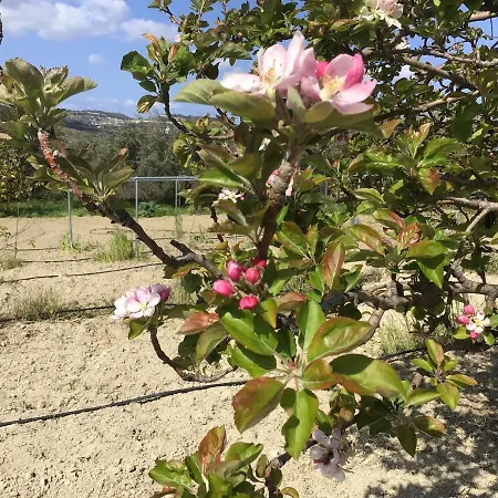 בית נופש Pervolaris 2 *