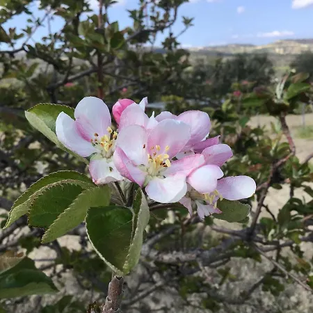 בית נופש Pervolaris 2 Goudhi