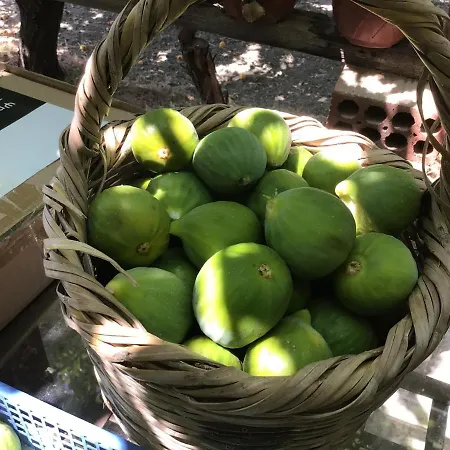 Pervolaris 2 בית נופש *