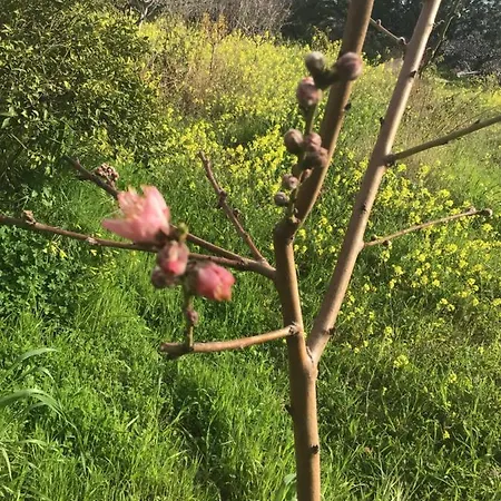 בית נופש Pervolaris 2 Goudhi