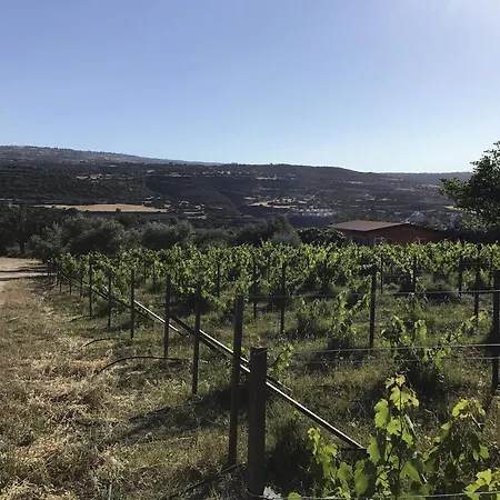 Pervolaris 2 * Goudhi