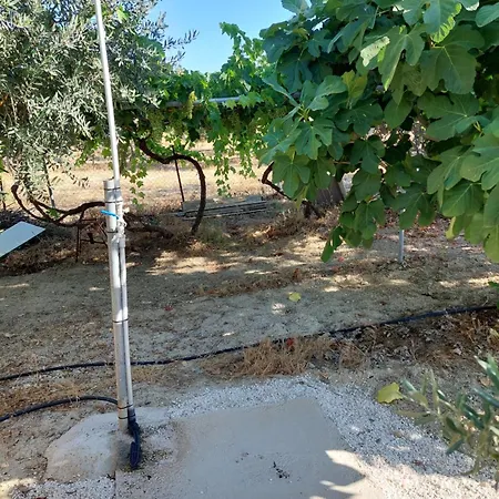 Pervolaris 2 * Goudhi