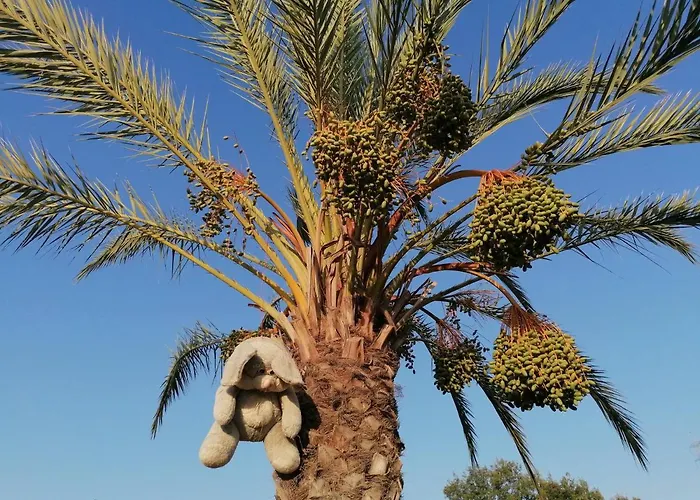 Semesterbostad Pervolaris 2 Goudhi