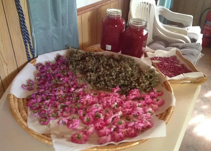 Pervolaris 2 * Goudhi