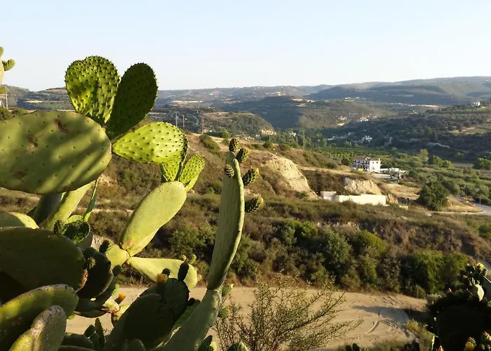 Pervolaris 2 * Goudhi