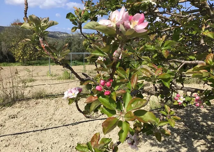 Semesterbostad Pervolaris 2 *