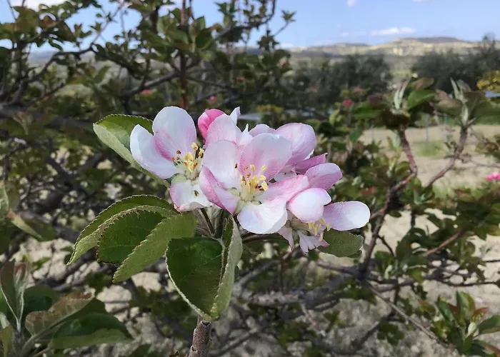 Дом отдыха Pervolaris 2 Goudhi