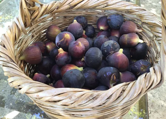 Semesterbostad Pervolaris 2 Goudhi