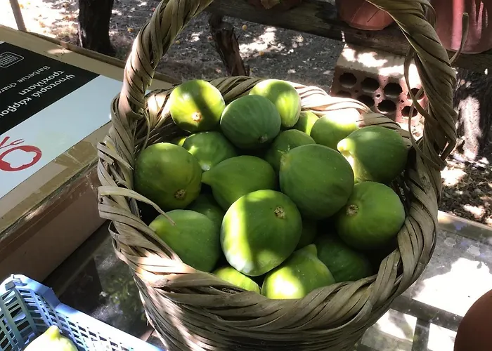 Pervolaris 2 Semesterbostad *