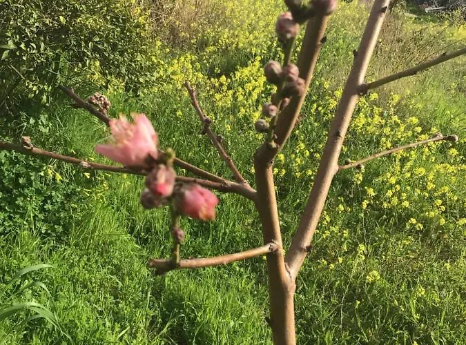 Дом отдыха Pervolaris 2 Goudhi