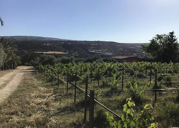 Pervolaris 2 * Goudhi