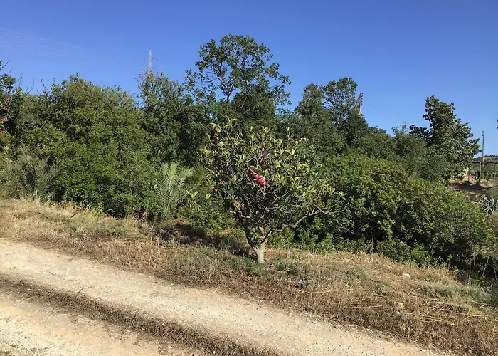 Дом отдыха Pervolaris 2 *