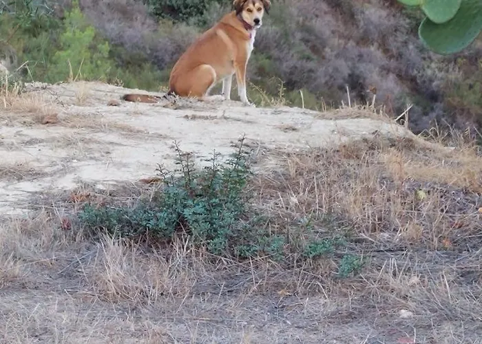 Pervolaris 2 Semesterbostad *