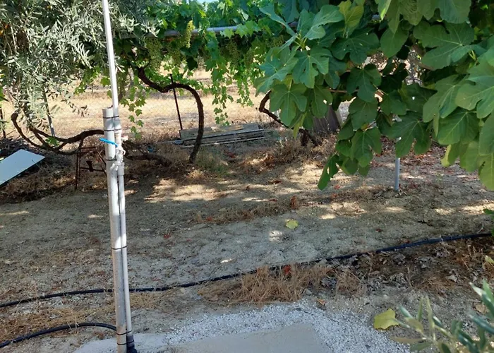 Pervolaris 2 * Goudhi